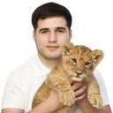  -,   , 29 ,   ,   , c , 