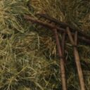 ���������� ������������, ���� ������� ������, 39 ���, ������������ ��� ����� � ���������, c�������� ���������, ���������