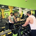 ���������� �����, ���� ������� ������, 33 ����, ������������ ��� ������, ����� � ���������