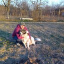  Shipka,   Zlatin, 38 ,   ,   , c 