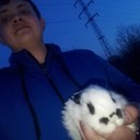 ���������� ���������, ���� ������� ����, 31 ���, ������������ ��� ������, ����� � ���������, c�������� ���������