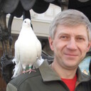 ���������� ������, ���� ������� �����, 53 ����, ������������ ��� ����� � ���������, c�������� ���������