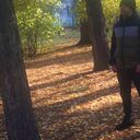 ���������� �����, ���� ������� �����, 43 ����, ������������ ��� ������, ���������