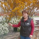 ���������� ������������, ���� ������� �����, 65 ���, ������������ ��� ������, ����� � ���������