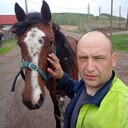  ,   , 38 ,   c 