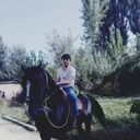  ,   Roma, 28 ,     , c 