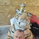  ,   , 49 ,   ,   , c 