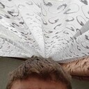 ���������� ��������, ���� ������� �������, 26 ���, ������������ ��� ������, ����� � ���������