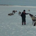 ���������� ����������, ���� ������� �������, 43 ����, ������������ ��� ������, ����� � ���������