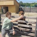 ���������� �����, ���� ������� �����, 26 ���, ������������ ��� c�������� ���������