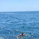 ���������� �����������, ���� ������� �����, 27 ���, ������������ ��� ������