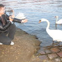  ,   , 45 ,   ,   , c 