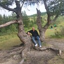  ,   , 53 ,   ,   