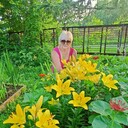  ,   , 56 ,   c 