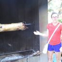 ���������� ������������, ���� ������� ���������, 37 ���, ������������ ��� ����� � ���������, c�������� ���������