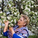 ���������� �����-���������, ���� ������� Elena, 62 ����, ������������ ��� ������, ����� � ���������