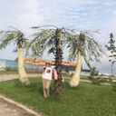  ,   , 56 ,     , c , 