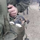 ���������� ������, ���� ������� ���������, 31 ���, ������������ ��� ������, ����� � ���������, c�������� ���������, ���������