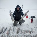 ���������� ������, ���� ������� ���������, 41 ���, ������������ ��� ������, ����� � ���������, c�������� ���������