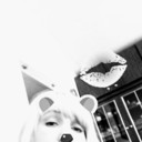 ���������� �������, ���� ������� �������, 43 ����, ������������ ��� ����� � ���������, c�������� ���������