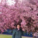 ���������� �����, ���� ������� �������, 55 ���, ������������ ��� ������, ����� � ���������, c�������� ���������