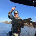 ���������� ���������, ���� ������� �������, 51 ���, ������������ ��� c�������� ���������, ���������