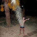  ,   , 38 ,   ,   , c 