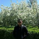 ���������� ������, ���� ������� ���������, 38 ���, ������������ ��� ������