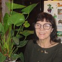   ,   , 62 ,     , c 