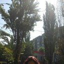  ,   Elena, 47 ,     , c 