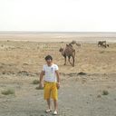 ���������� �������, ���� ������� �����, 38 ���, ������������ ��� ������, ����� � ���������, c�������� ���������