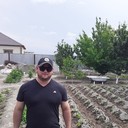 ���������� ������, ���� ������� �����, 38 ���, ������������ ��� ������, ����� � ���������, c�������� ���������