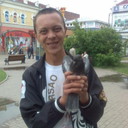  -,   , 38 ,   