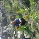  ,   , 50 ,   ,   , c , 