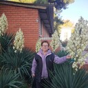  ,   , 65 ,   ,   , c 