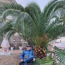   ,   , 59 ,   ,   