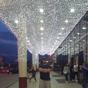 ���������� ���������, ���� ������� �������, 38 ���, ������������ ��� ������, ����� � ���������, c�������� ���������