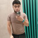 ���������� ������, ���� ������� Golib, 40 ���, ������������ ��� ������, ����� � ���������