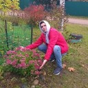  -,   , 51 ,   ,   , c 