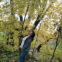  ,   , 30 ,   ,   , c 