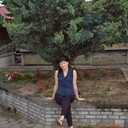  ,   , 55 ,   ,   