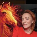 ���������� ������, ���� ������� �����, 44 ����, ������������ 