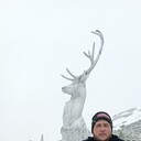 ���������� ����������, ���� ������� �������, 36 ���, ������������ ��� ������, ����� � ���������, c�������� ���������, ���������