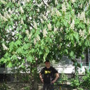 ���������� ������, ���� ������� �����, 55 ���, ������������ ��� ������, ����� � ���������, c�������� ���������