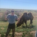 ���������� ����������, ���� ������� ������, 40 ���, ������������ ��� ������, ����� � ���������, c�������� ���������, ���������