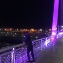 ���������� ������������, ���� ����� ��������, 24 ����, ������������ ��� ������, ����� � ���������, c�������� ���������, ���������