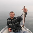 ���������� �����������, ���� ������� ����, 44 ����, ������������ ��� ������, ����� � ���������, c�������� ���������