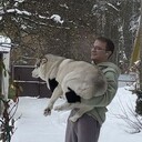 ���������� ������, ���� ������� ���������, 29 ���, ������������ ��� ������, ����� � ���������