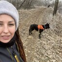 ���������� �������, ���� ������� Catalina, 34 ����, ������������ ��� ������, ���������