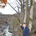  --,   , 43 ,     , c 